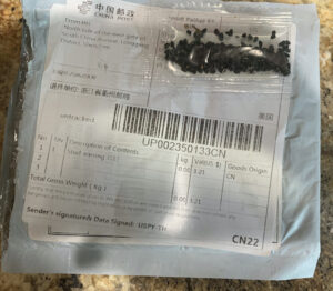 photo of mail envelope and seed packet